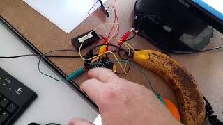 Banana keyboard_ Micro:bit v2 Experiment