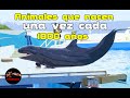 Este extraño animal nace una vez cada 1000 años – 10 Animales que solo nacen una vez cada mil años