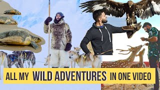 The Best Travel destinations for Animal & Adventure Lovers | Dog Sledding , Eagles , Whales