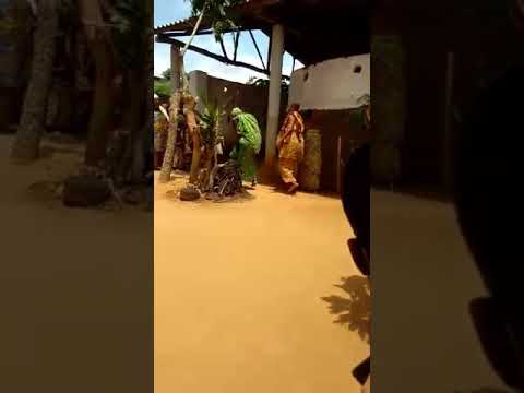cérémonie de vodoun zovi-fafai a Ouidah Bénin