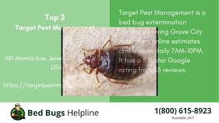 Top 3 Bed Bug Removal in Grove City