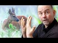 Wildlife Photography: Post Processing Tutorial - Editing your photos Ep. 1