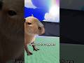 How to approach a capybara 😲