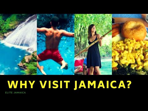 فيديو: زيارة شلالات نهر دان في جامايكا
