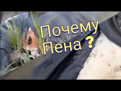 🔥🐳 Подмена воды в пруду Почему столько пены?