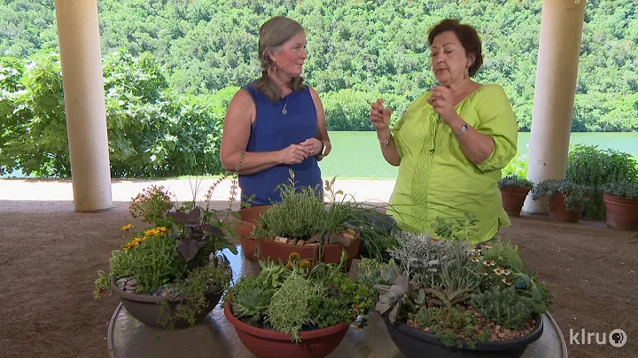 Charm Up Container Gardens |Barbara Wise & Trisha ...