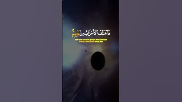 وَإِنَّ اللَّهَ رَبِّي وَرَبُّكُمْ فَاعْبُدُوهُ _ تلاوة عطرة من سورة مريم _ القارئ شريف مصطفى