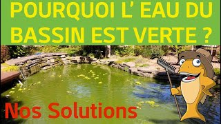 Pourquoi l'eau de mon bassin est verte ? Solutions ici !