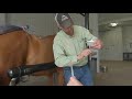 Dr al flint talking about equine reproduction work at montana equine