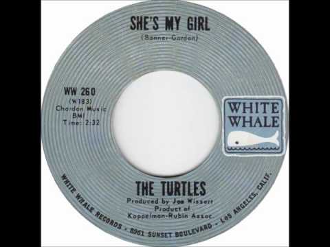 THE TURTLES *