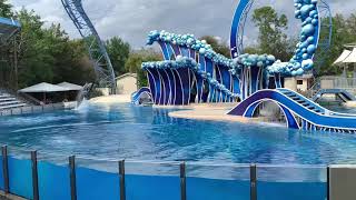 That Dolphin Made Me Smile Intro Song - Dolphin Days - Seaworld Orlando