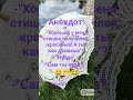 Анекдоты. Шутки. Казусы. Смешное. #jutuber #шуточное #video #юмор #прикол