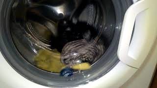 Hotpoint WMFUG 842 Fast Wash 60 cycle, Start of wash