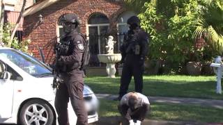 Eight Arrested in Sydney MDMA Bust