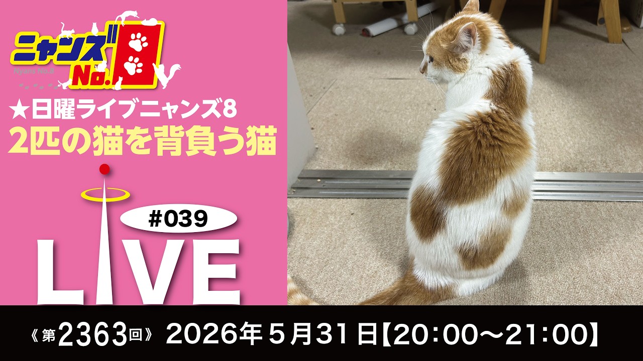 Episode 2363》LIVE#039 ☆Sunday Live Nyans8 - YouTube
