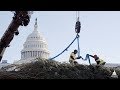 2019 U.S. Capitol Christmas Tree Arrival