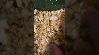 Custom bait for method feeder