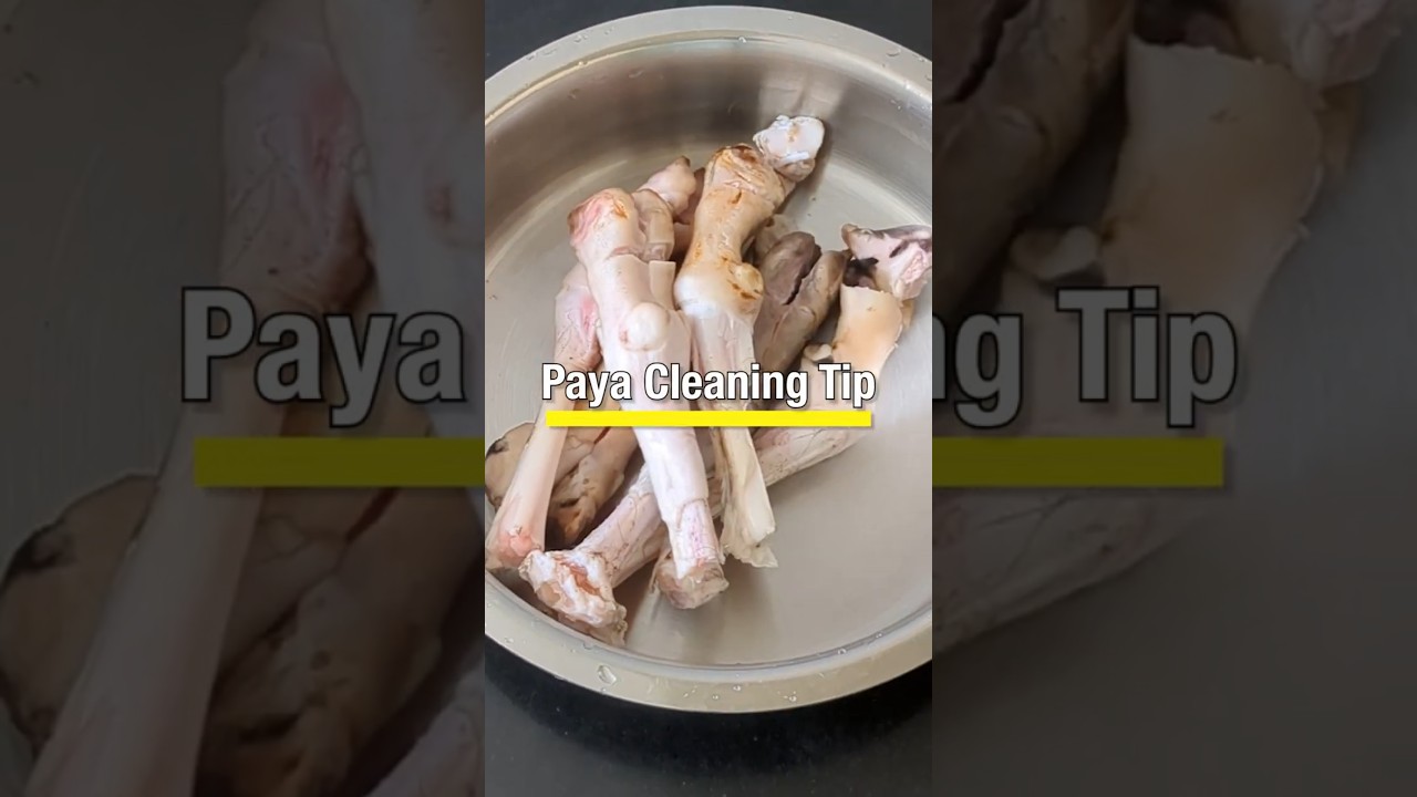 ✨Paya Cleaning✨ - Clean Start “Jamjo ane Jamarjo” 