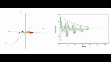NMR T2 relaxation Measurements