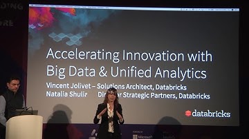 Building Data Bricks Solution | Vincent Jolivet & Natalia Shuliak