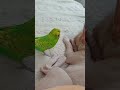 Ты че обиделась 😡#shorts#pets #собакадругчеловека