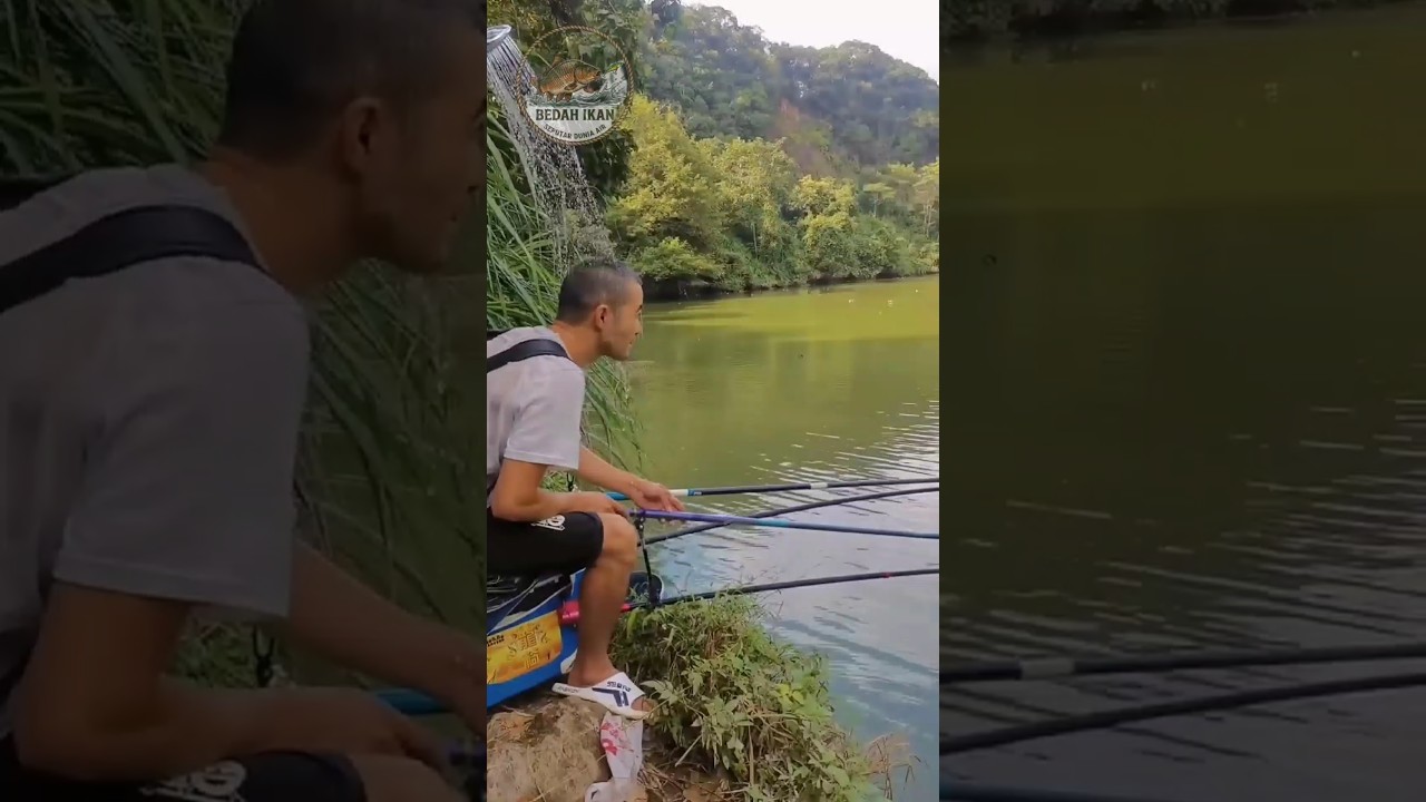 Tipe temen seperti apa yg ngeselin saat mancing? #fishing #mancing #ikan #fish #shorts #mancingmania