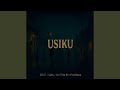 Usiku Feat Ish Babos Brad