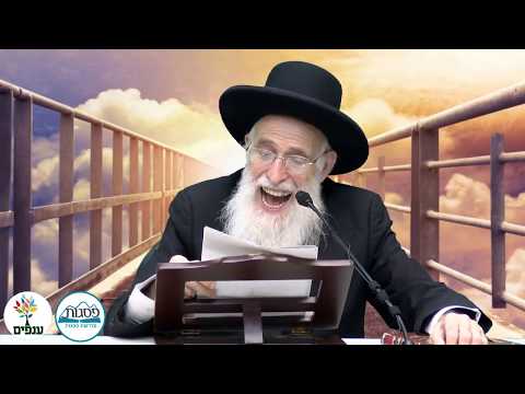 פרשת לך לך - הרב יהודה יוספי HD - שידור חי