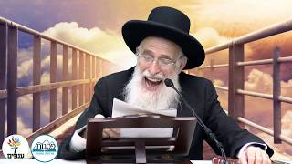 פרשת לך לך - הרב יהודה יוספי HD - שידור חי