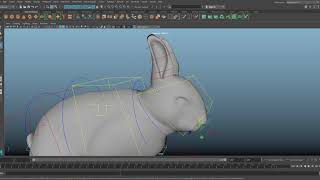 bunny rig ctl test