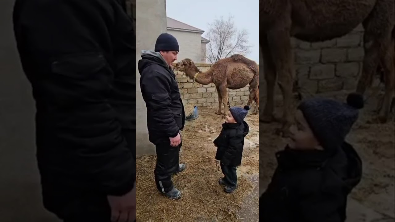 16 февраля 2026 г.