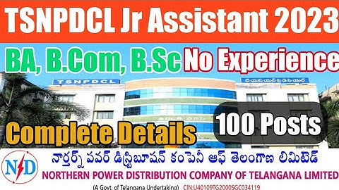 TSNPDCL JACO Notification 2023|tsnpdcl jr assistant 2023 notification in telugu before apply online