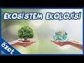 Ekosistem Ekolojisi Özet / TYT Biyoloji