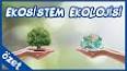 Biyoloji - Ekoloji Nedir ? ile ilgili video
