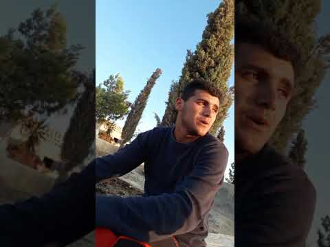 ملك الدحية هاني مشارقة