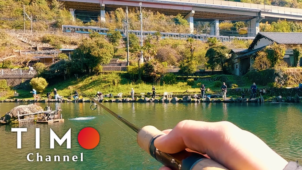 【浅川国際鱒釣場】電車とバスを乗り継いで行くエリアトラウト 高尾山ふもとのクリアポンドな老舗管理釣り場