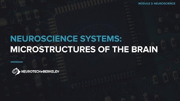Module 2, Section 1, Lesson 4: Microstructures of the Brain || UC Berkeley CS 198 96