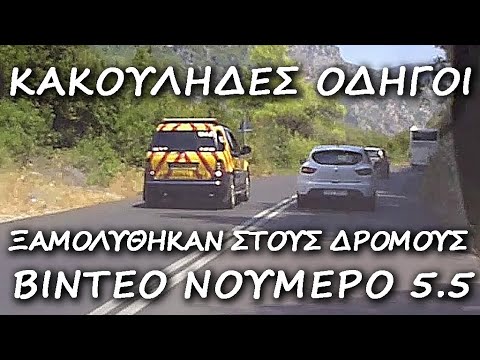 Ζώα στους Δρόμους Νο5.5