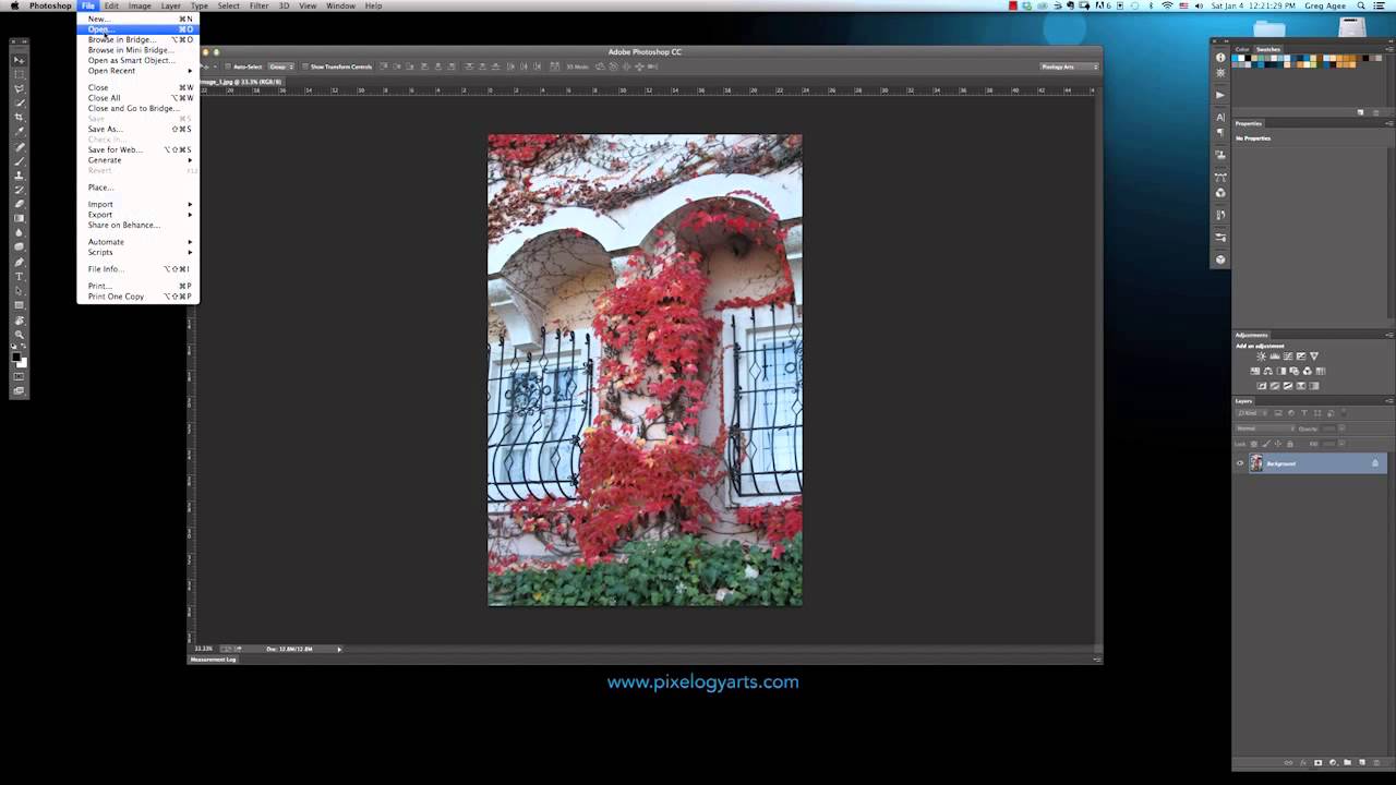 How to Insert an Image in Tricks