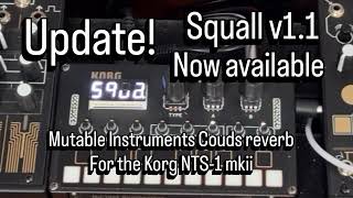 Update! Squall v1.1: Mutable Instruments Clouds reverb for the Korg NTS-1 mkii