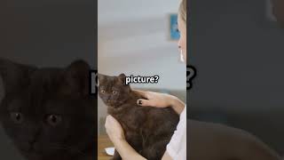 Master Image Annotation in 60 Seconds! #technology #artificialintelligence  #image #annotation