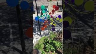 IMG 7104 2