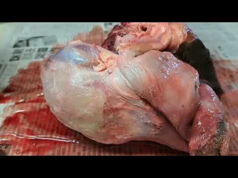 鹿の面剥ぎ