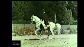 Srs Hofreitschule Wien 1944 Spanish Riding School