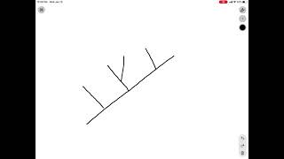 Cladograms