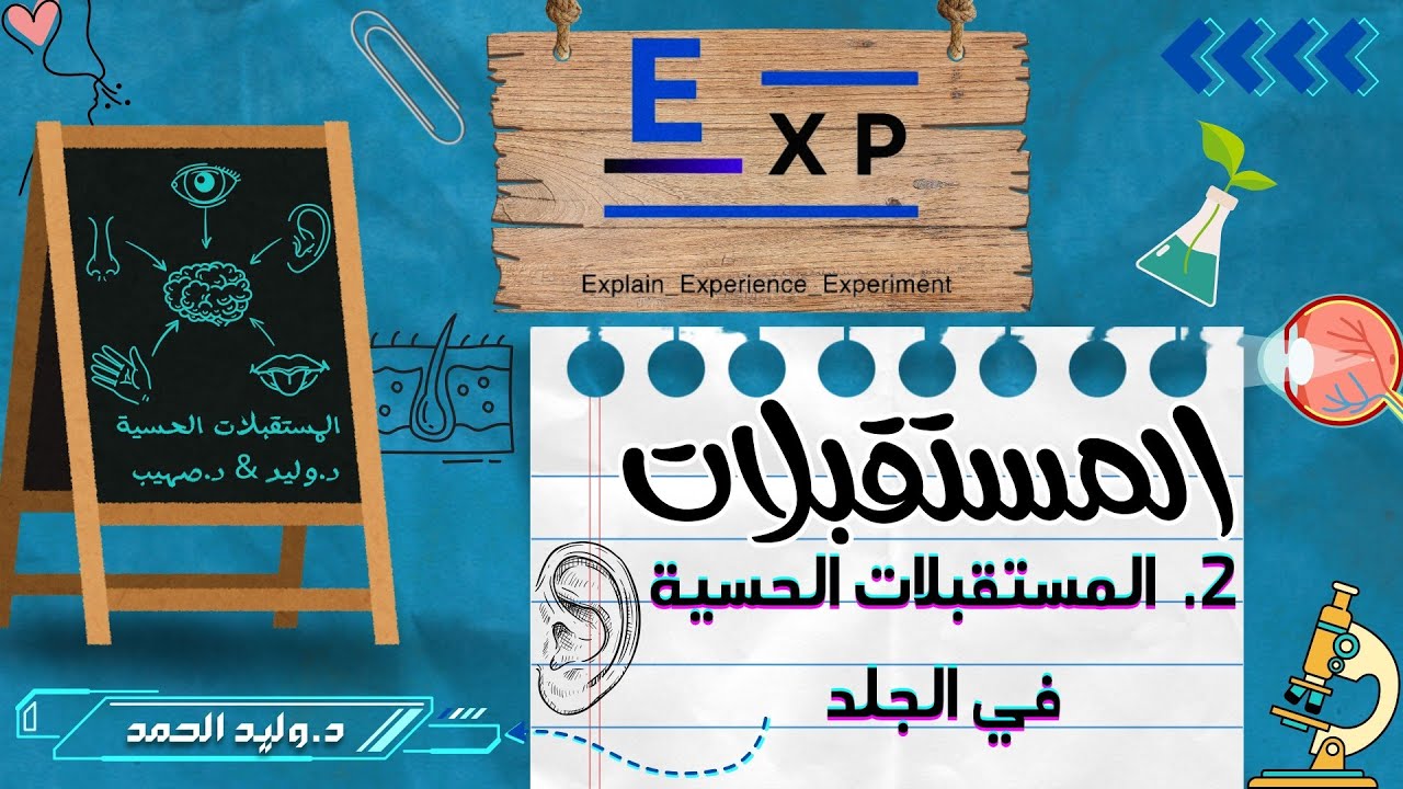 المستقبلات الحسية في الجلد || هام جدا جدا || د. وليد الحمد