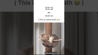Math #memes #popular #viral #funnymemes #tweetreels#maths #cat #dog #funny #shorts