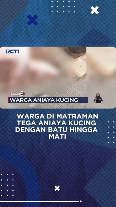 Warga di Matraman, Jaktim, Tega Aniaya Kucing dengan Batu Hingga Mati