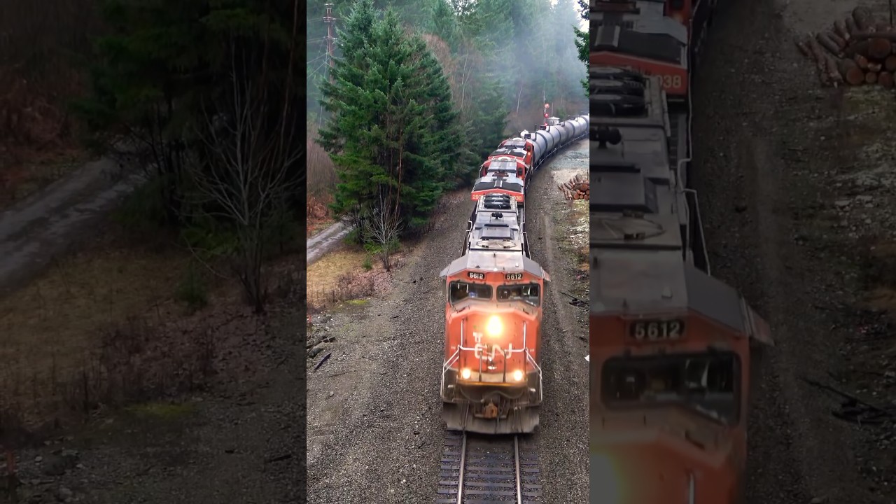 EMD LEADER ON CN TRAIN UNDER OVERPASS #youtubeshorts