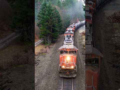 EMD LEADER ON CN TRAIN UNDER OVERPASS #youtubeshorts